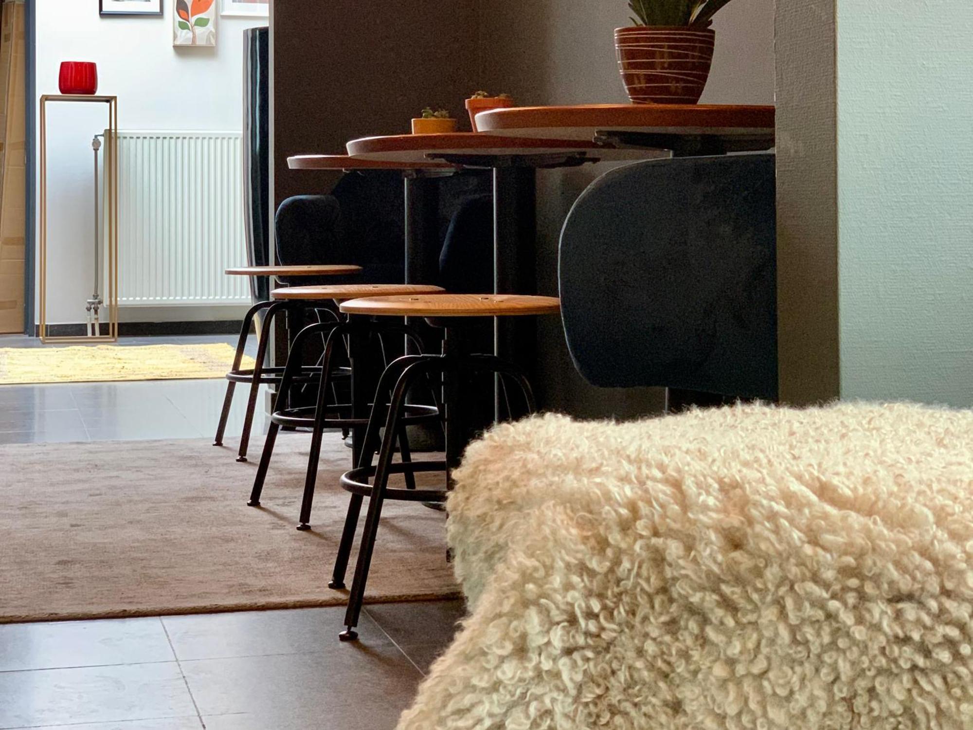 Guesthouse De Wissen Dilsen-Stokkem Esterno foto