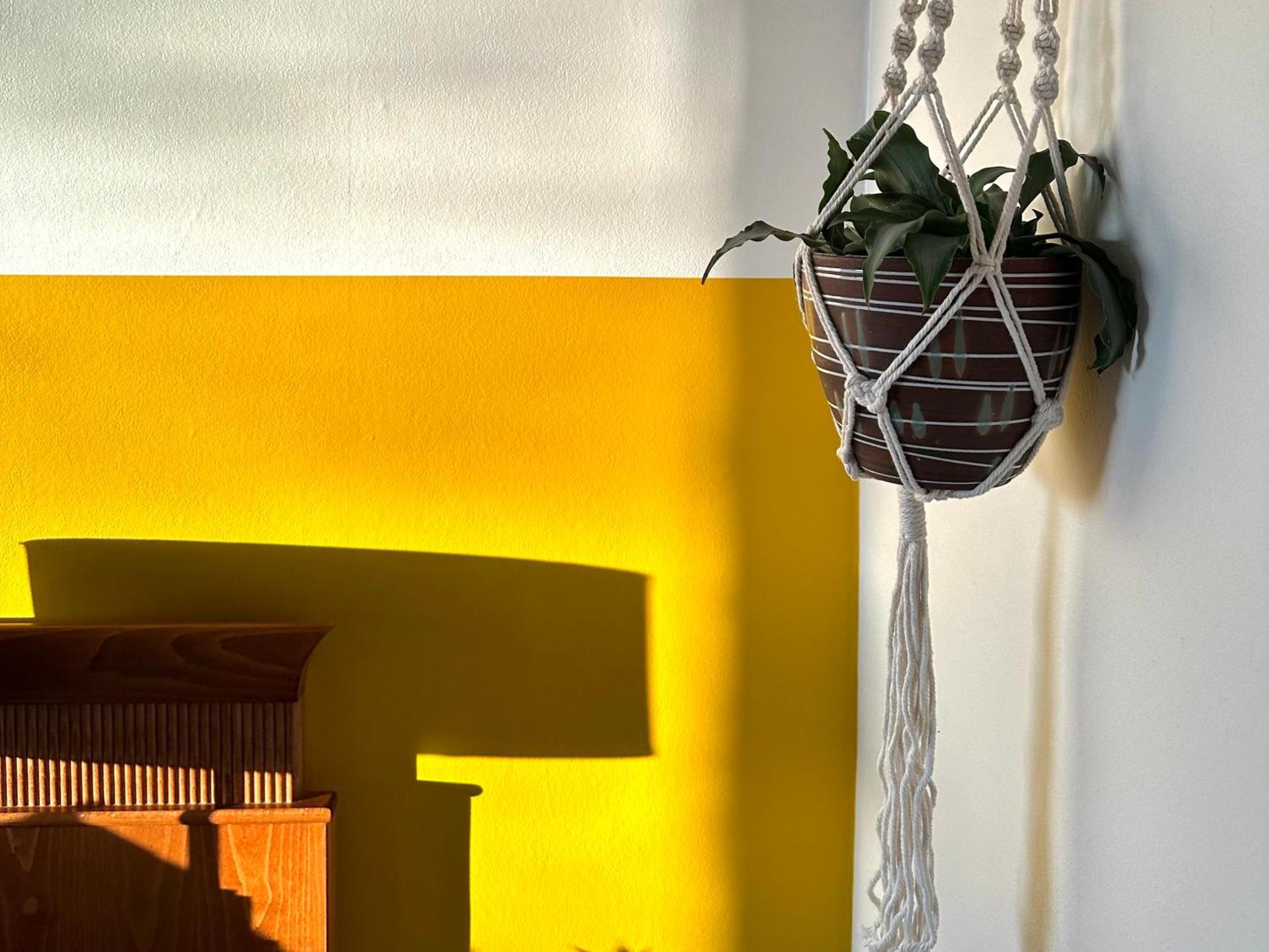 Guesthouse De Wissen Dilsen-Stokkem Esterno foto